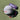Connect Check Ball