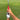 Grip Check Training Grip